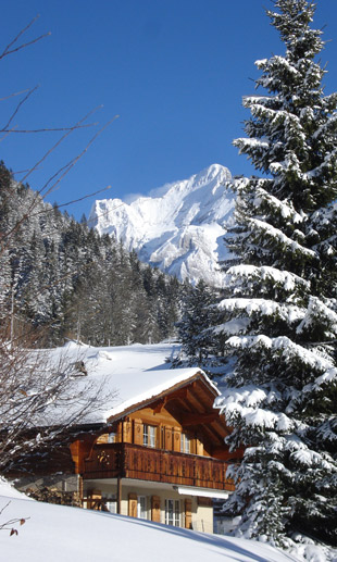 ferienwohnung-apartment-grindelwald-1