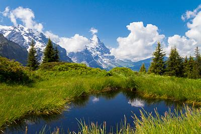 grindelwald-sommer